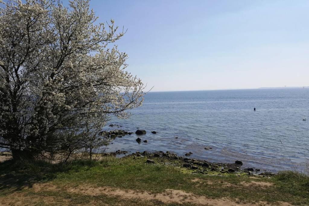 Meerblick Ferienwohnung Sierksdorf Esterno foto